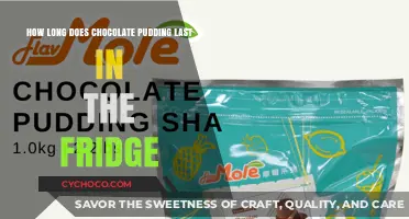 The Shelf Life of Chocolate Pudding: A Refrigeration Guide