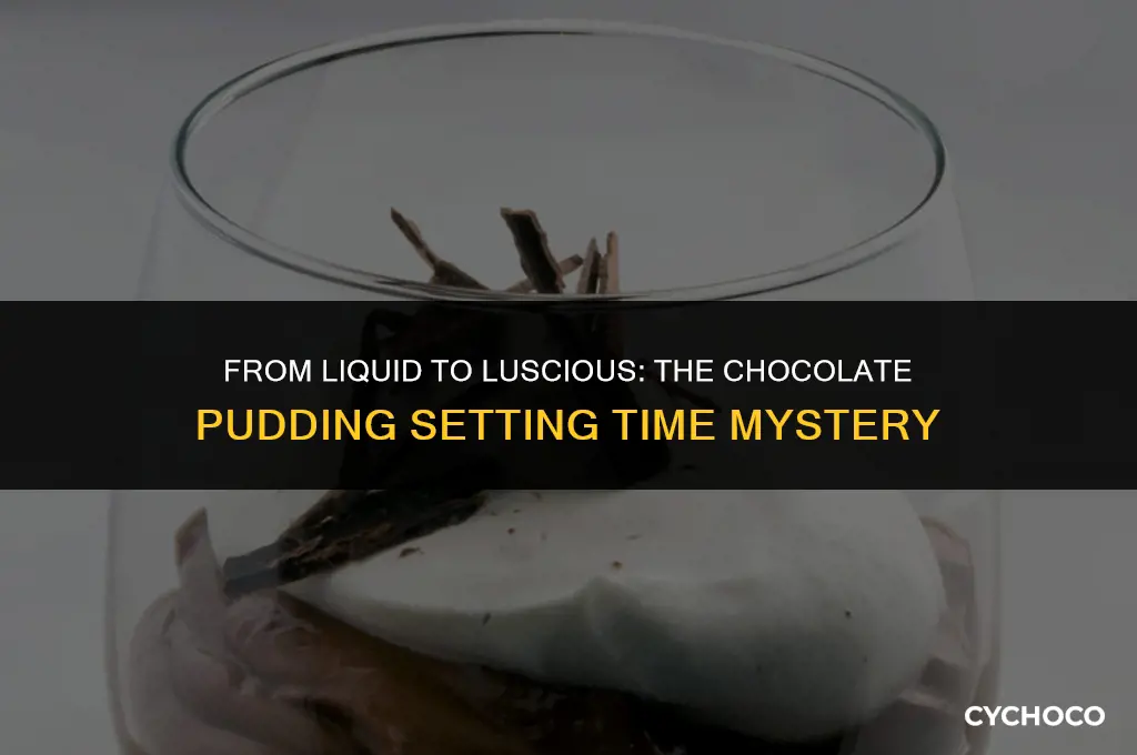 how long does chocolate pudding take to set
