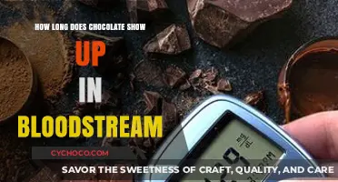 Decoding Chocolate's Journey: How Long Does It Stay in Your Bloodstream?