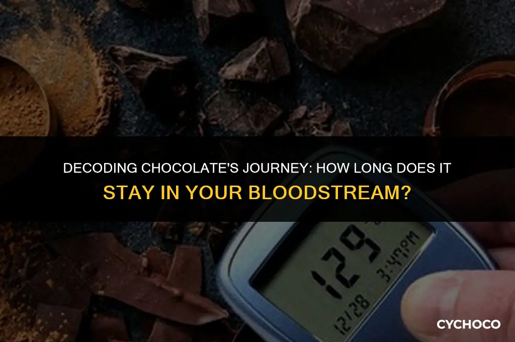 how long does chocolate show up in bloodstream