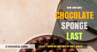 The Shelf Life of Chocolate Sponge: A Comprehensive Guide
