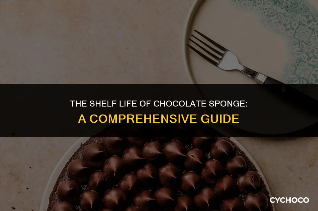 how long does chocolate sponge last
