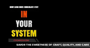 Chocolate's Journey: How Long It Stays in Your System Explained