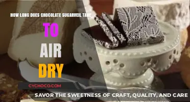 Sweet Patience: The Art of Air-Drying Chocolate Sugarveil