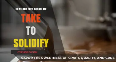 From Liquid to Solid: The Chocolate Solidification Process Explained