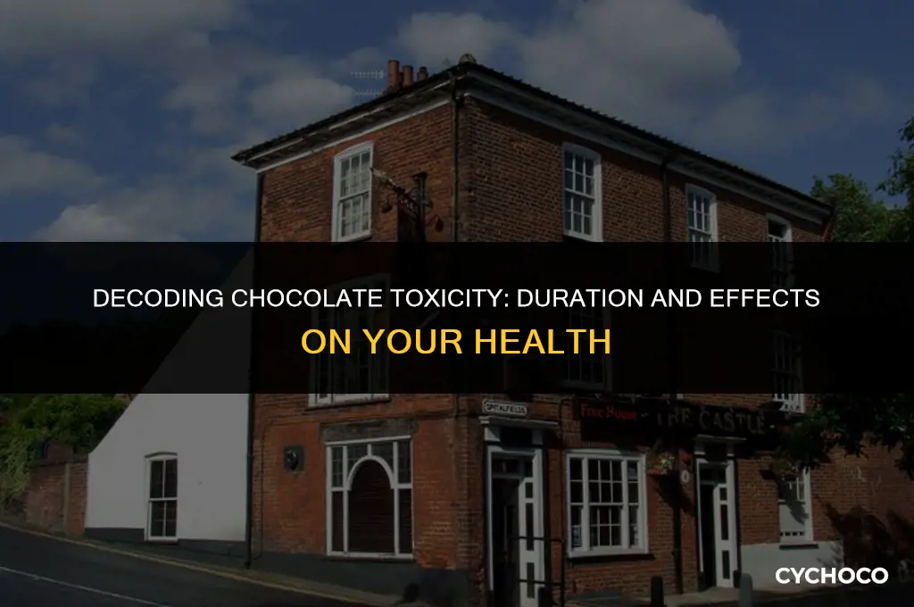 how long does chocolate toxicity last