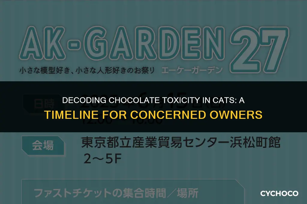 how long does chocolate toxicity take in cats