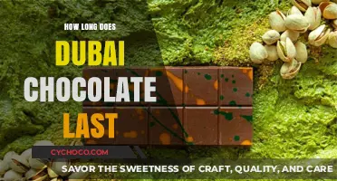 Dubai Chocolate Shelf Life: How Long Does It Last?