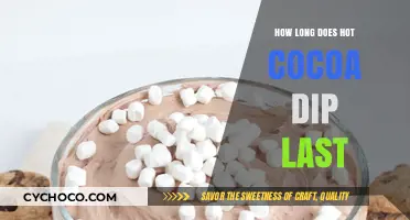 Savoring Sweetness: The Shelf Life of Hot Cocoa Dip