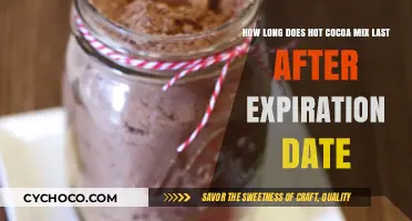 Shelf Life of Hot Cocoa Mix: Beyond the Expiration Date