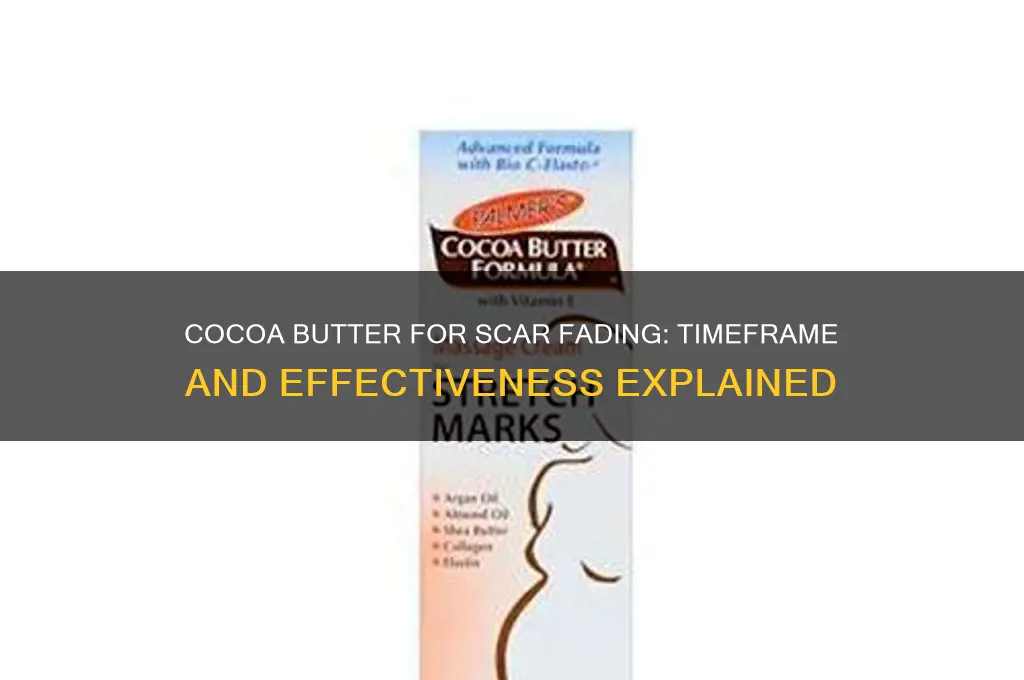 how long does it take cocoa butter to fade scars