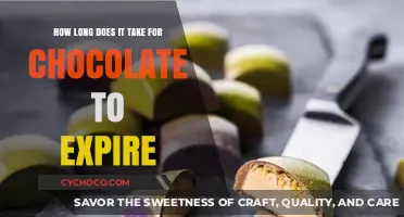 Chocolate Shelf Life: How Long Does It Stay Fresh and Tasty?