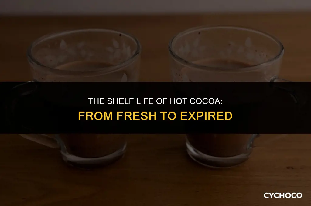 how long does it take for hot cocoa to expire