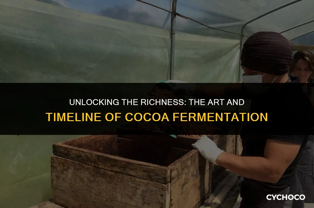 how long does it take to ferment cocoa beans