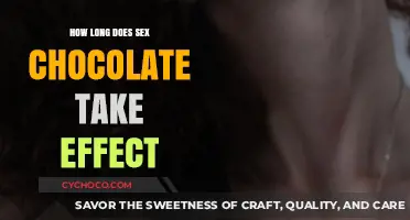 Sex Chocolate Effects: How Long Until You Feel the Sensual Boost?