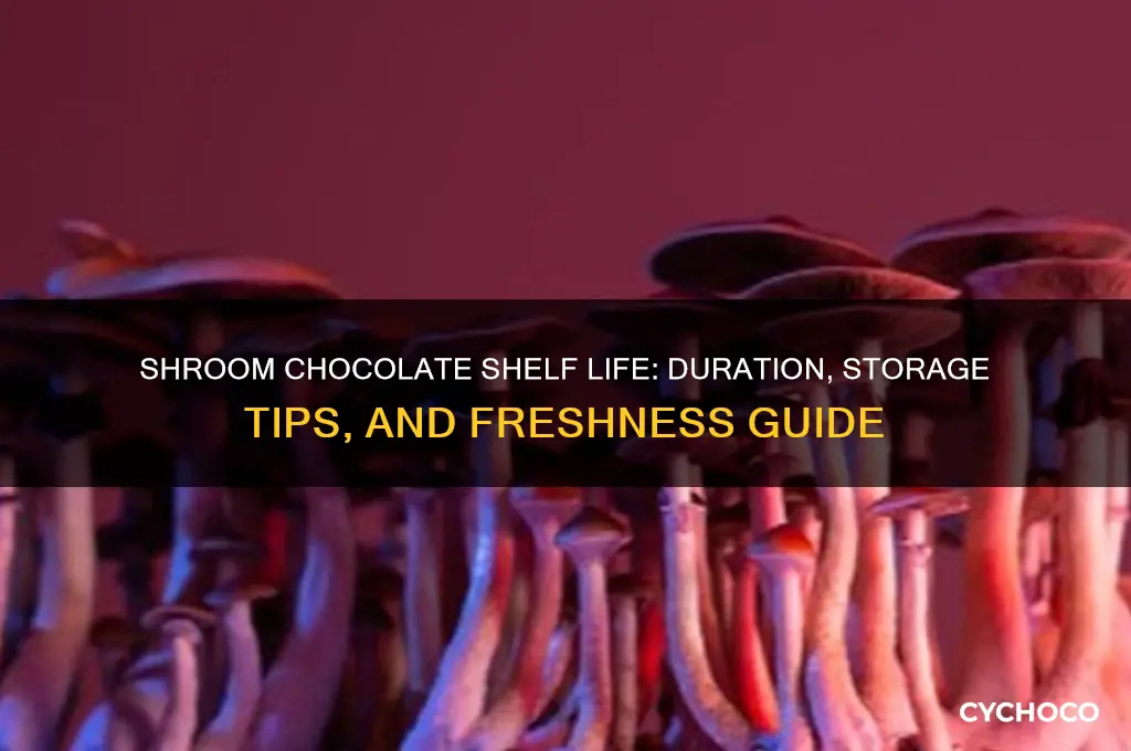 how long does shroom chocolate last