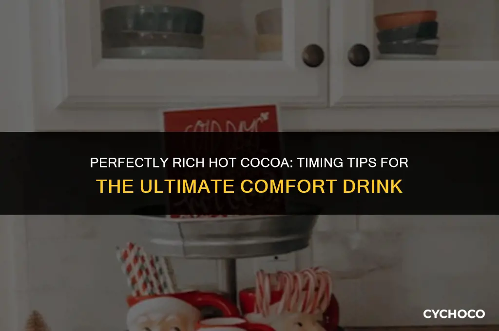 how long to cook hot cocoa
