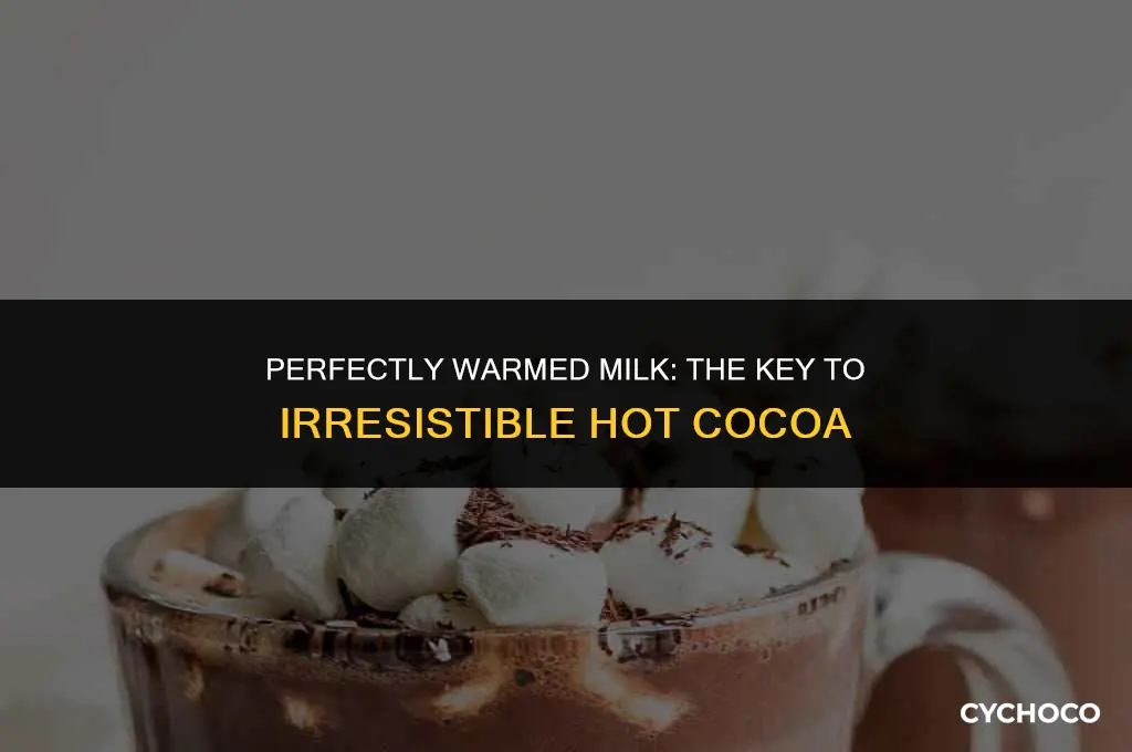 how long to heat milk for hot cocoa
