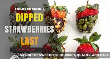Chocolate-Dipped Strawberries Shelf Life: Freshness Tips and Storage Guide