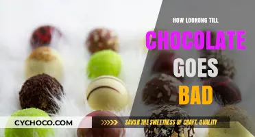 The Sweet Shelf Life: How Long Till Chocolate Goes Bad?