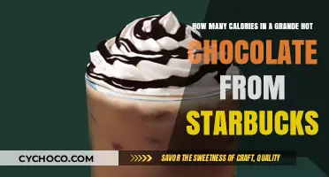 Sipping on Sweetness: Starbucks Grande Hot Chocolate Calorie Count