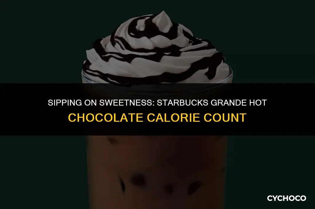 how many calories in a grande hot chocolate from starbucks