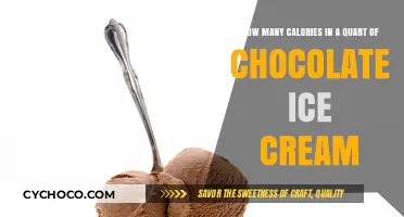 Indulgence Unveiled: Chocolate Ice Cream Calorie Countdown