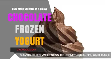 Delicious and Nutritious: Small Chocolate Frozen Yogurt Calorie Count