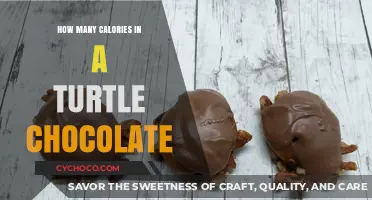 Decoding the Caloric Mystery of Turtle Chocolates: A Delicious Dilemma