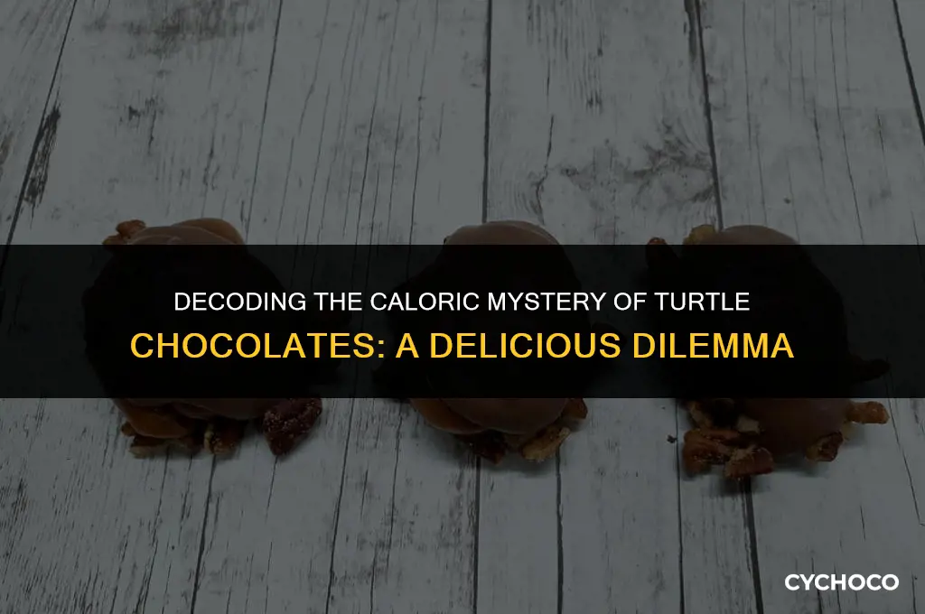 how many calories in a turtle chocolate
