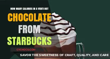 Sipping on Winter: Starbucks Venti Hot Chocolate Calorie Countdown