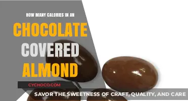 Decoding the Caloric Content of Chocolate-Covered Almonds: A Nutritional Insight