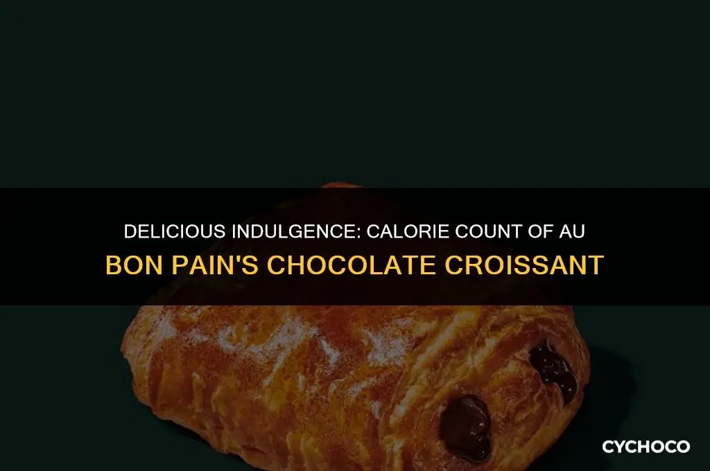 how many calories in au bon pain chocolate croissant