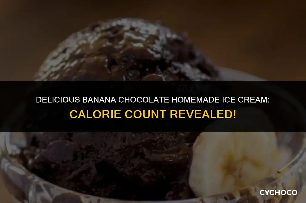 how many calories in banana chocolate home made icecream