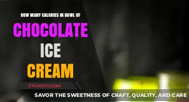 Indulge Smart: Calorie Count of Your Favorite Chocolate Ice Cream Bowl