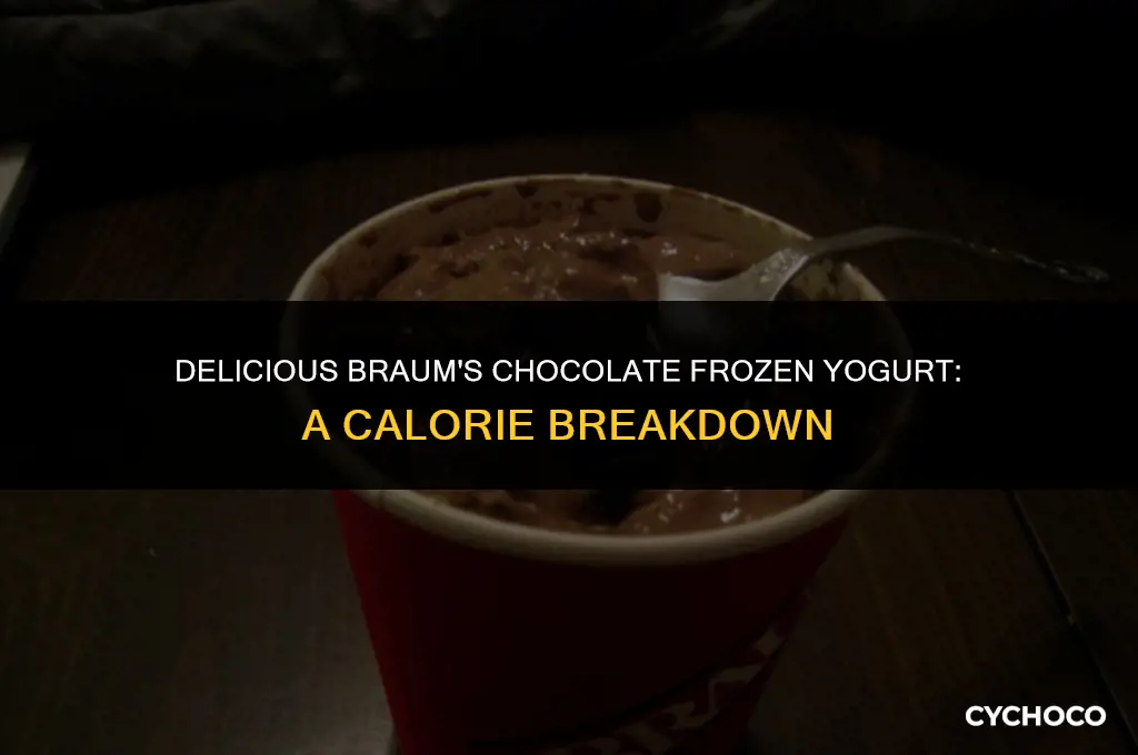 how many calories in braums chocolate frozen yogurt