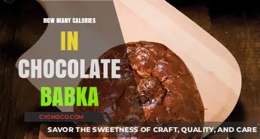 Indulge in Chocolate Babka: A Caloric Delight Unveiled