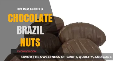 Delicious Chocolate Brazil Nuts: A Nutritious Treat with Calorie Count