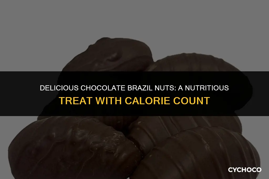 how many calories in chocolate brazil nuts
