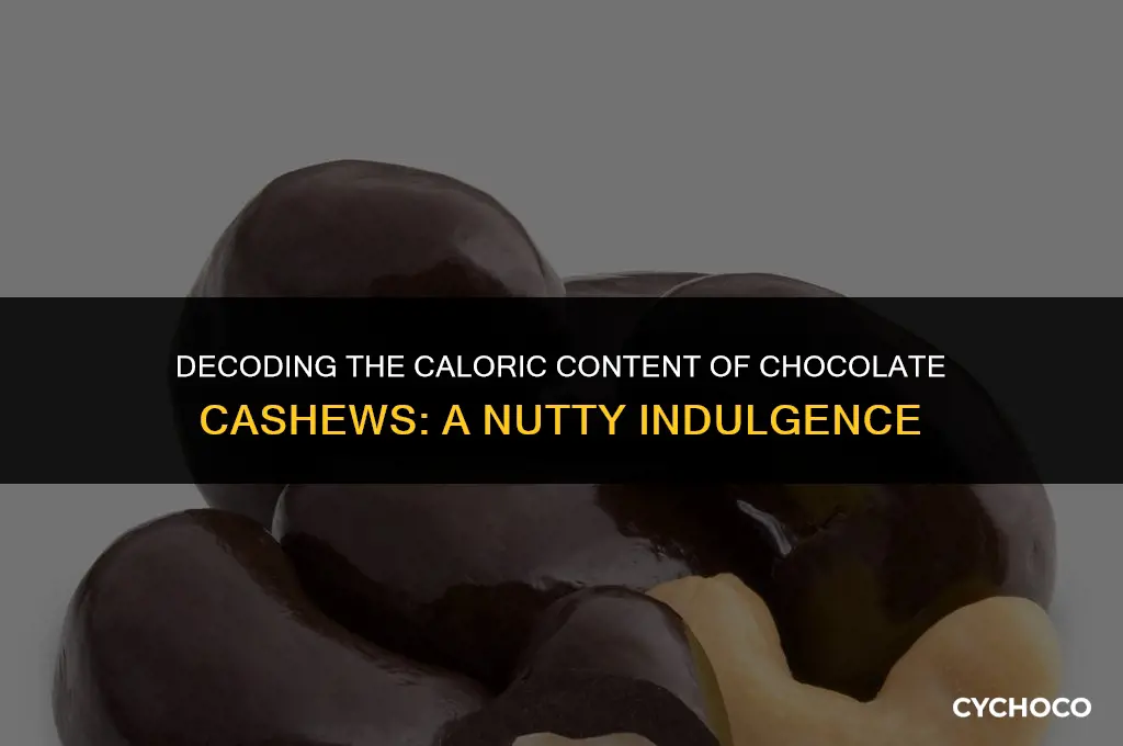 how many calories in chocolate cashews