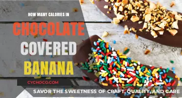 Delicious Chocolate-Covered Bananas: A Tempting Treat with a Surprising Calorie Count