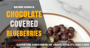 Delicious Chocolate-Covered Blueberries: A Tempting Treat with a Nutritional Twist