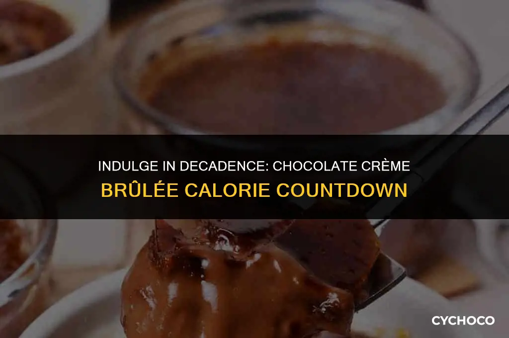 how many calories in chocolate creme brulee
