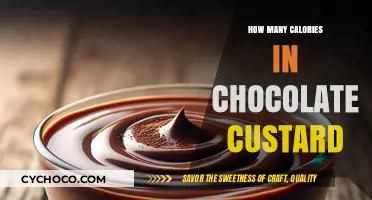 Decadent Chocolate Custard: A Calorie Counter's Guide