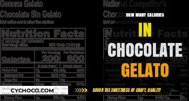 Indulge Smart: Unveiling the Caloric Secrets of Chocolate Gelato