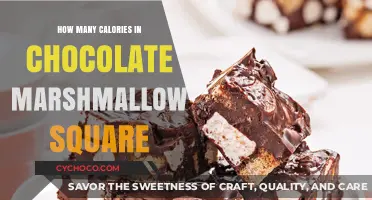 Delicious Chocolate Marshmallow Squares: A Caloric Treat
