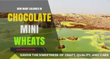 Unveiling the Caloric Secrets of Chocolate Mini Wheats: A Nutritional Deep Dive