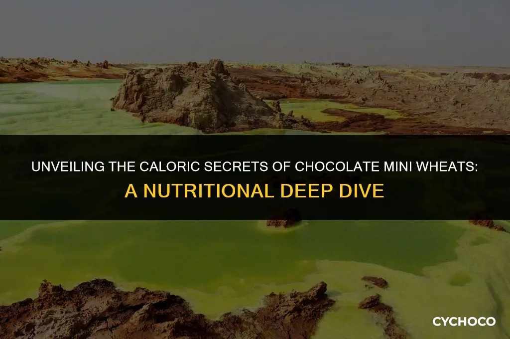 how many calories in chocolate mini wheats