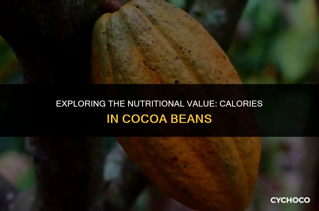 how many calories in cocoa beans