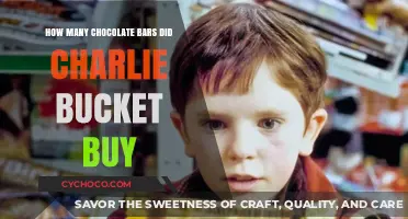 Charlie Bucket's Chocolate Spree: A Sweet Adventure Unfolds